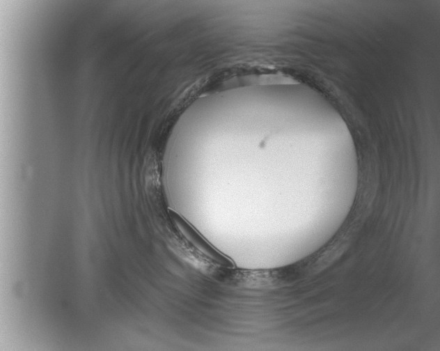 X0000080130384200612302042