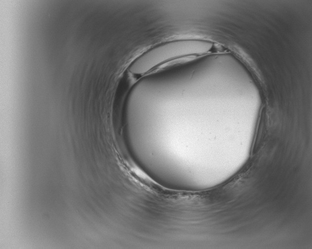 X0000080130385200612302041