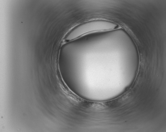 X0000080130386200612302041