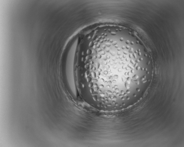 X0000080130388200612302041