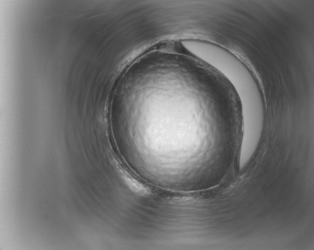 X0000080130389200612302041