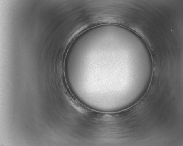 X0000080130390200612302041