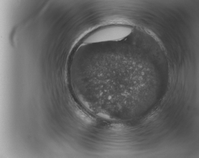 X0000080130391200612302041