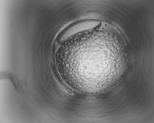 X0000080130392200612302041