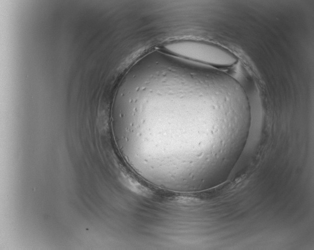 X0000080130393200612302041