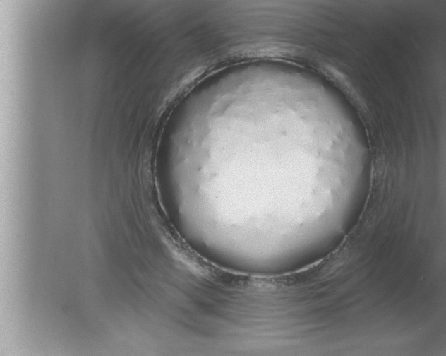 X0000080130394200612302041