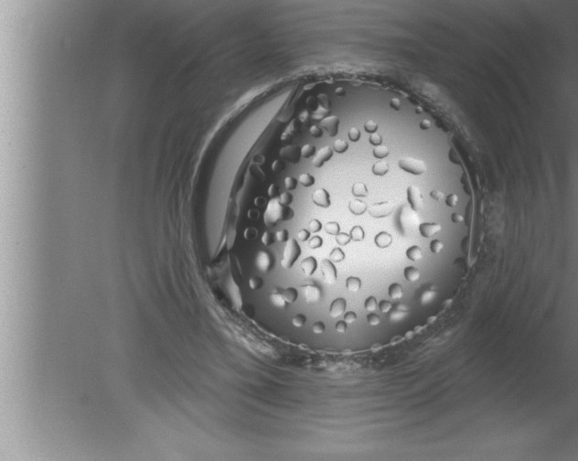 X0000080130395200612302041