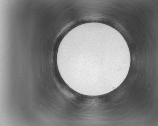 X0000080130396200612302041