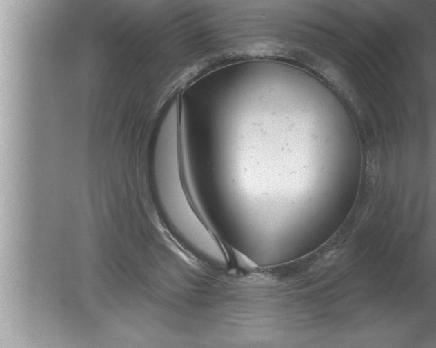 X0000080130397200612302041