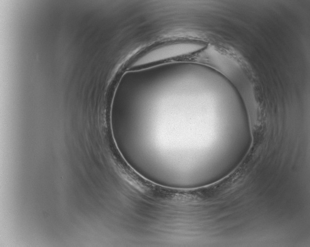 X0000080130399200612302041