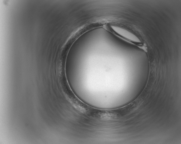 X0000080130400200612302041