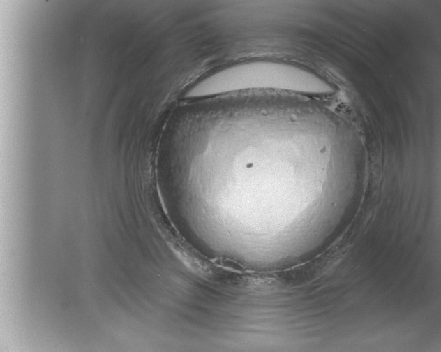 X0000080130401200612302041