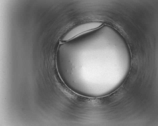 X0000080130402200612302041