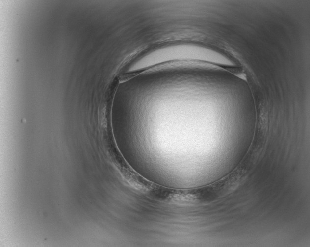 X0000080130403200612302041