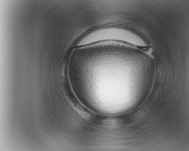 X0000080130404200612302041