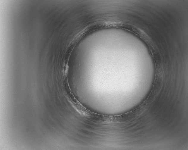 X0000080130405200612302041