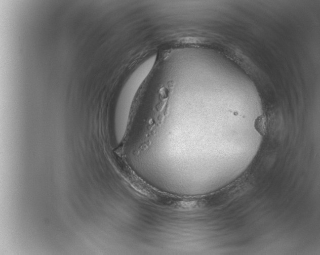 X0000080130406200612302041