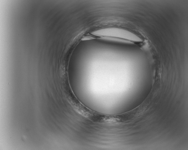 X0000080130407200612302041