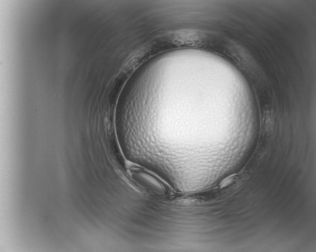 X0000080130408200612302041