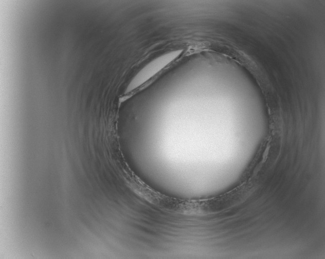 X0000080130409200612302041