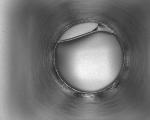 X0000080130410200612302041