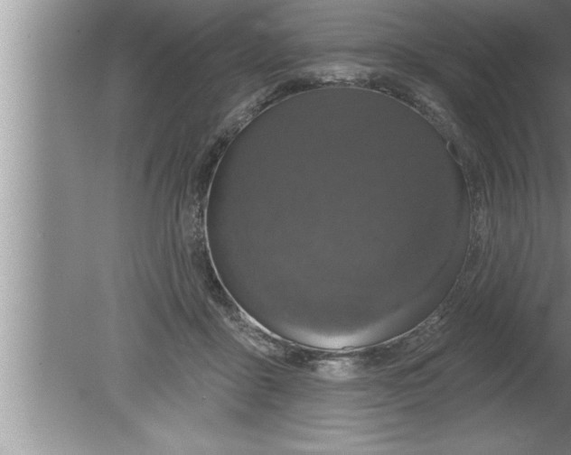 X0000080130411200612302041