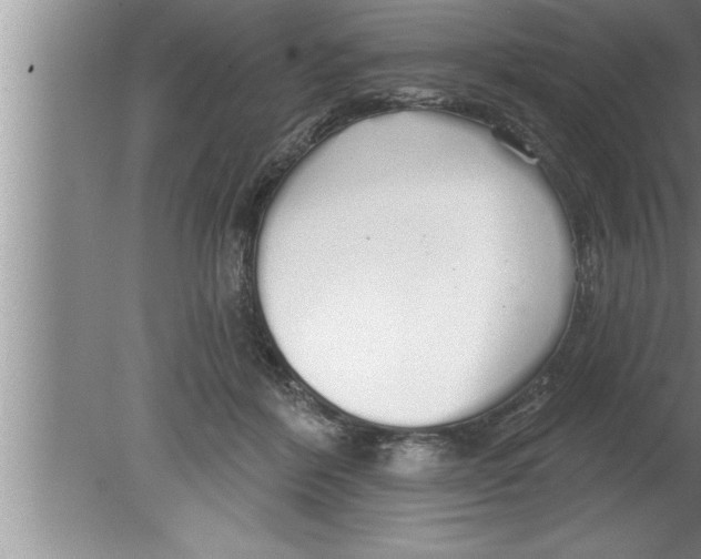 X0000080130412200612302041