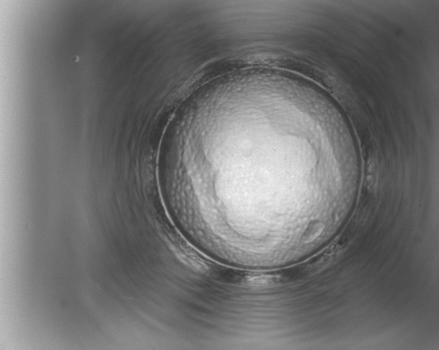 X0000080130413200612302041