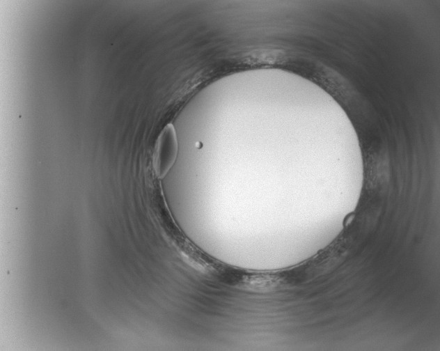 X0000080130414200612302041