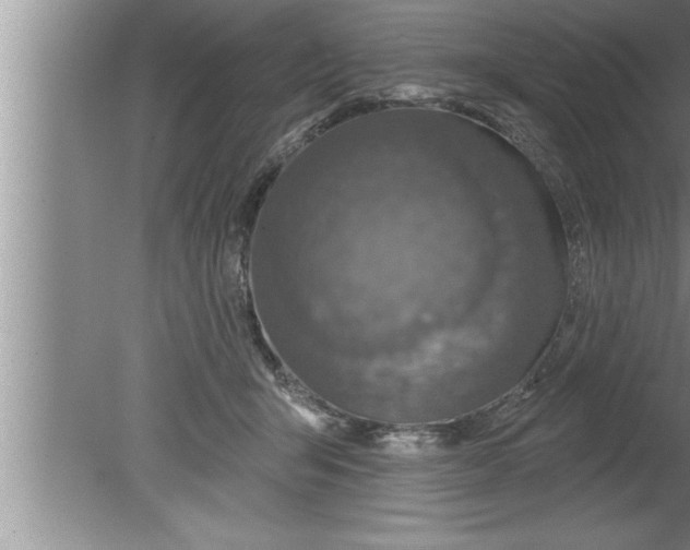 X0000080130415200612302041