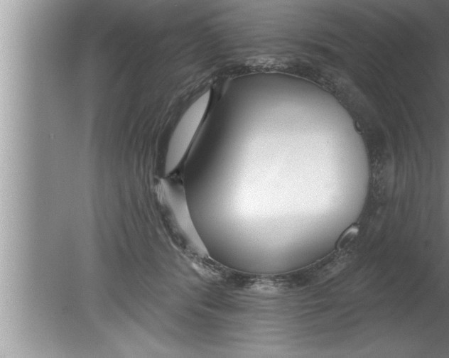 X0000080130416200612302041