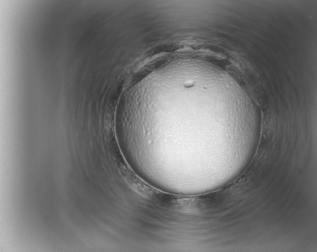 X0000080130417200612302041