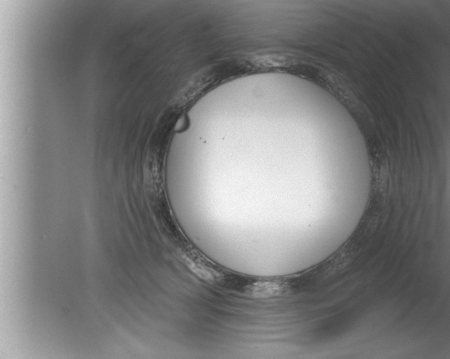 X0000080130418200612302041