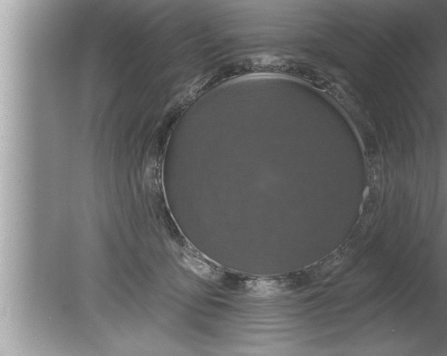 X0000080130419200612302041