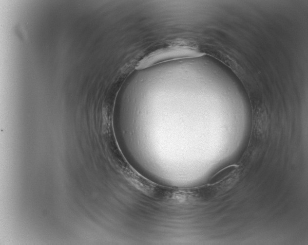 X0000080130420200612302041