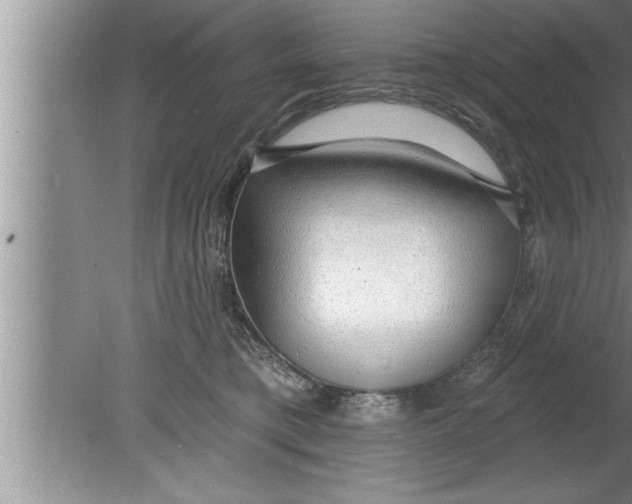 X0000080130421200612302041