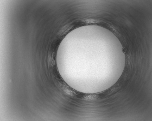 X0000080130422200612302041