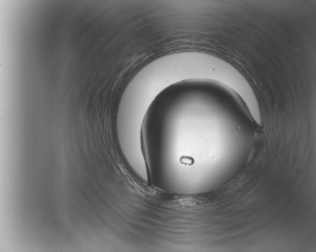 X0000080130423200612302041