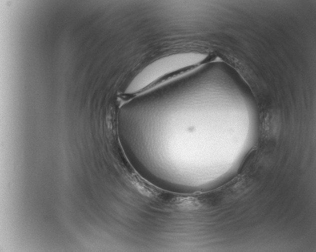 X0000080130424200612302041