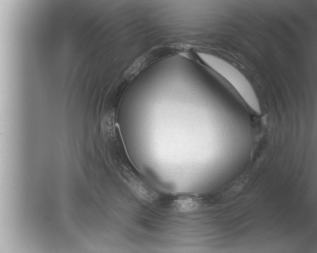 X0000080130425200612302041