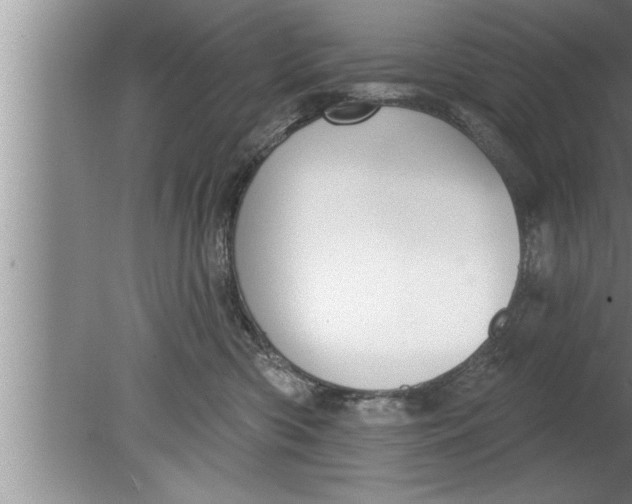 X0000080130426200612302041