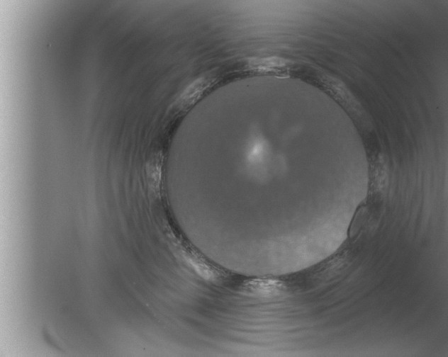 X0000080130427200612302041