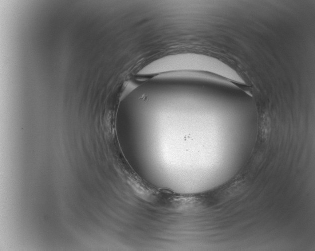 X0000080130428200612302041