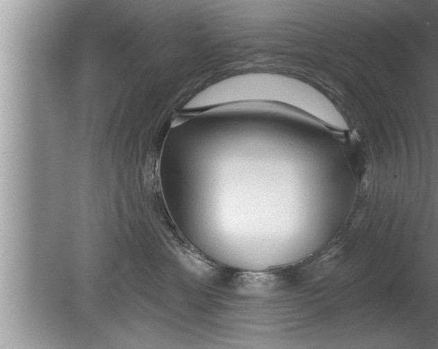 X0000080130429200612302041