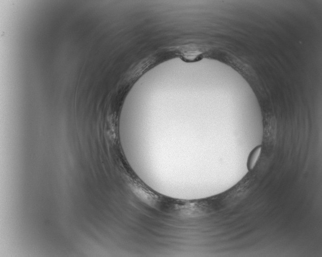 X0000080130430200612302041