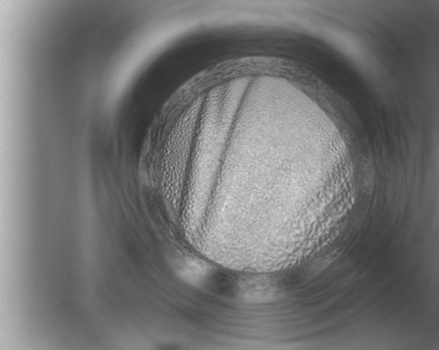 X0000080130431200612302041