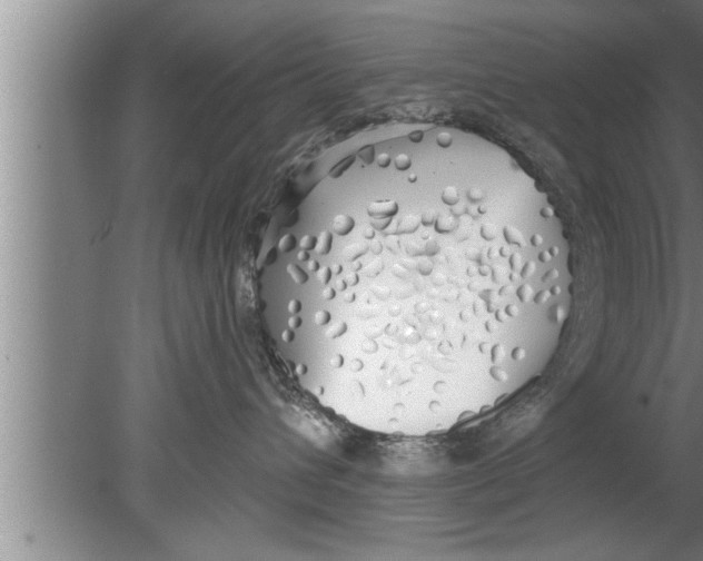 X0000080130432200612302041