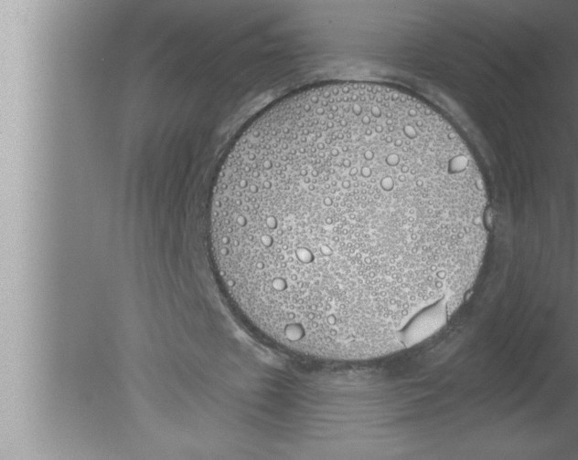 X0000080130433200612302040