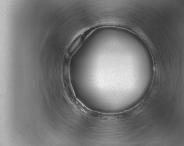 X0000080130434200612302040