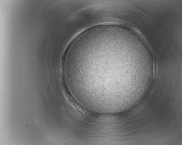 X0000080130435200612302040